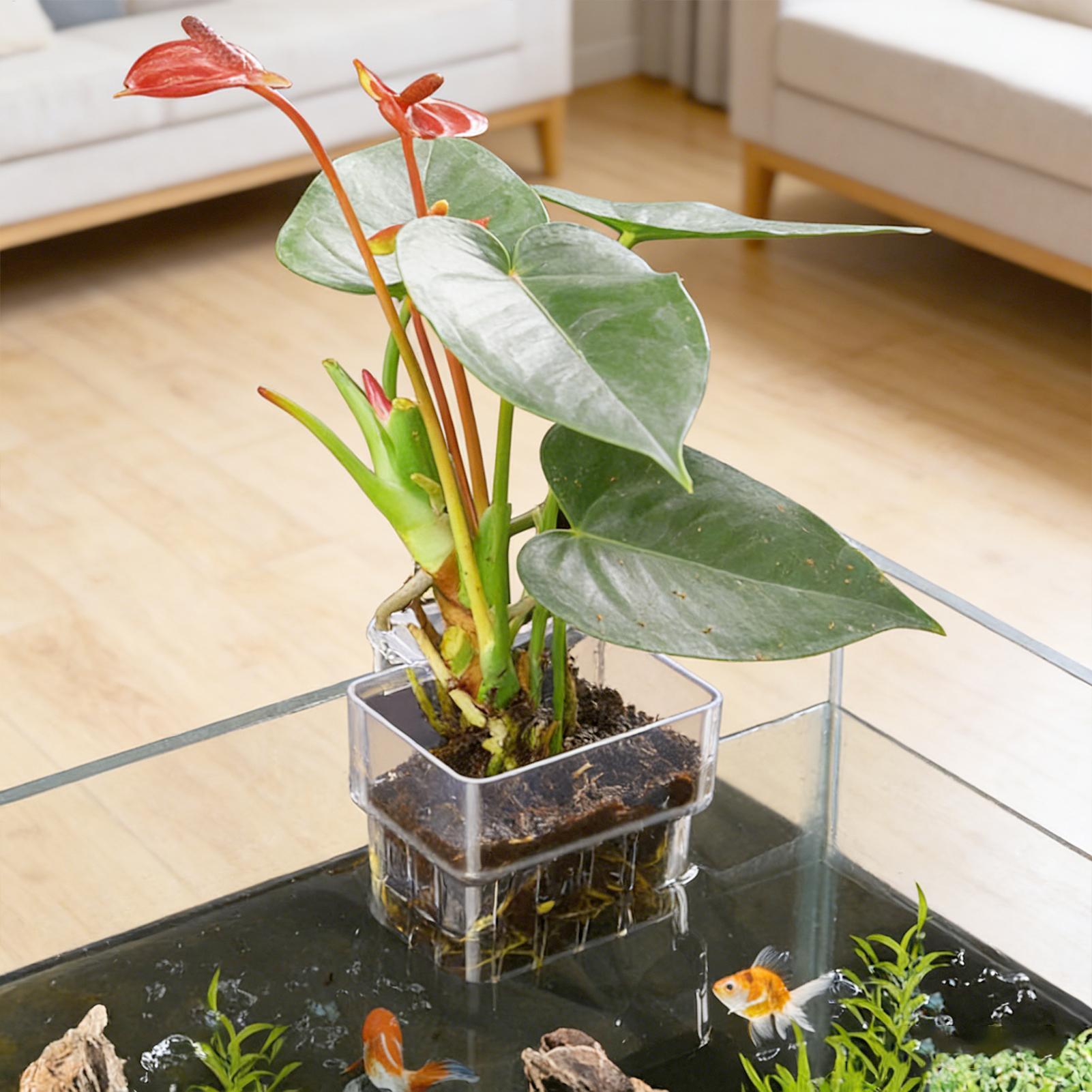 Aquarium Fish Enrichment - Aquarium Plant Basket Transparent Fish Tank
