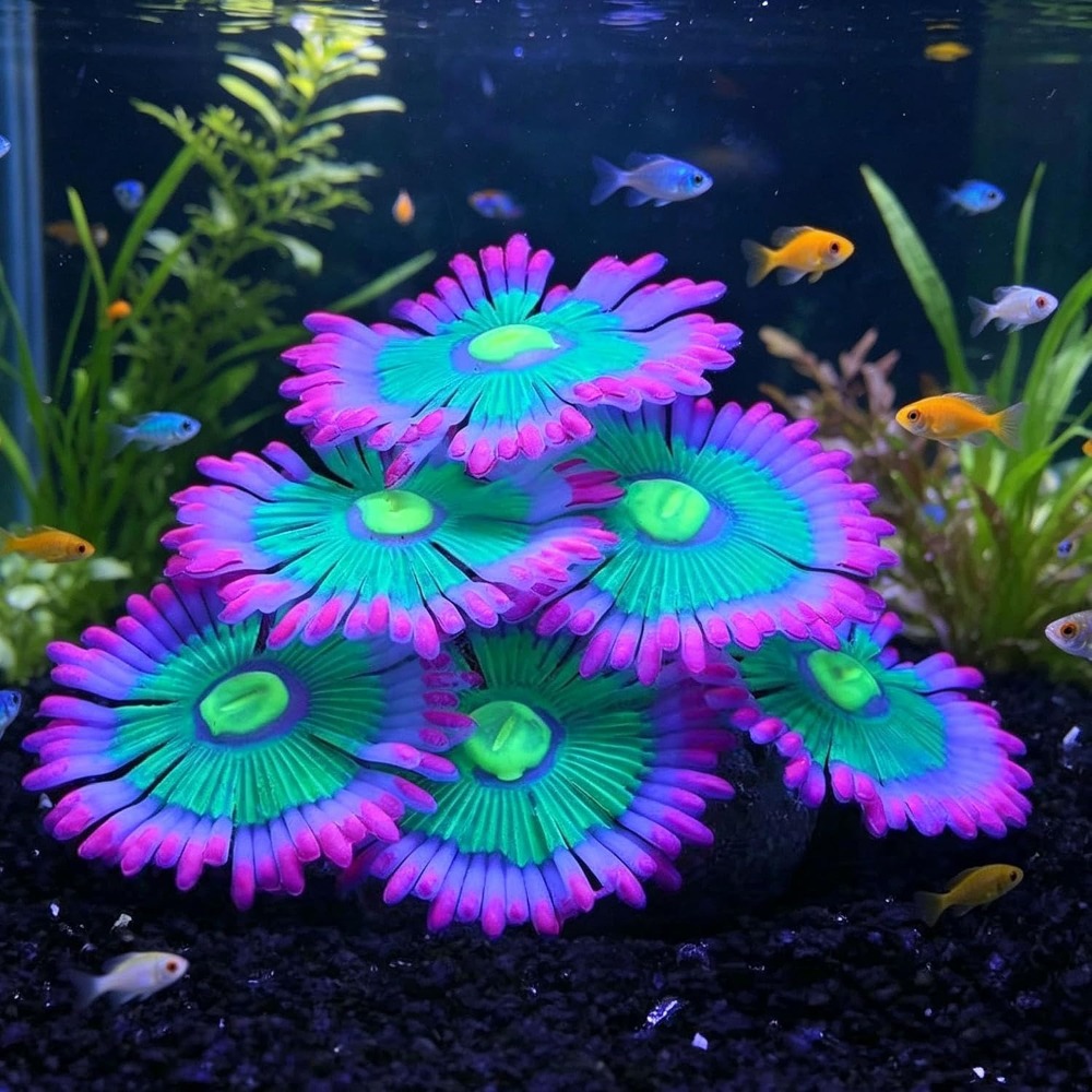 Aquarium Fish Enrichment - Glowing Soft Aquarium Fish Tank Decorations