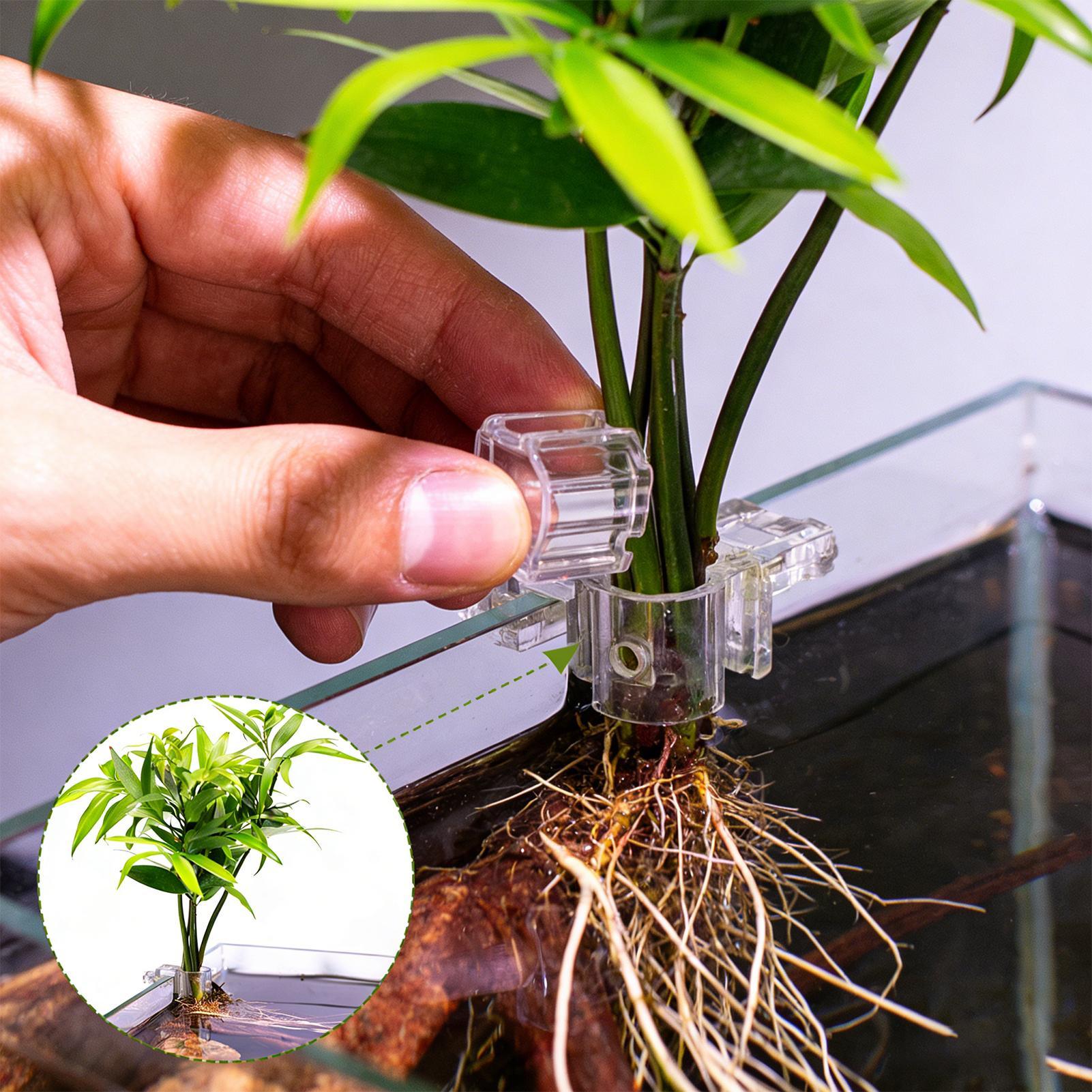 Aquarium Fish Pot - Mini Fish Tank Planter Pot 6Pcs