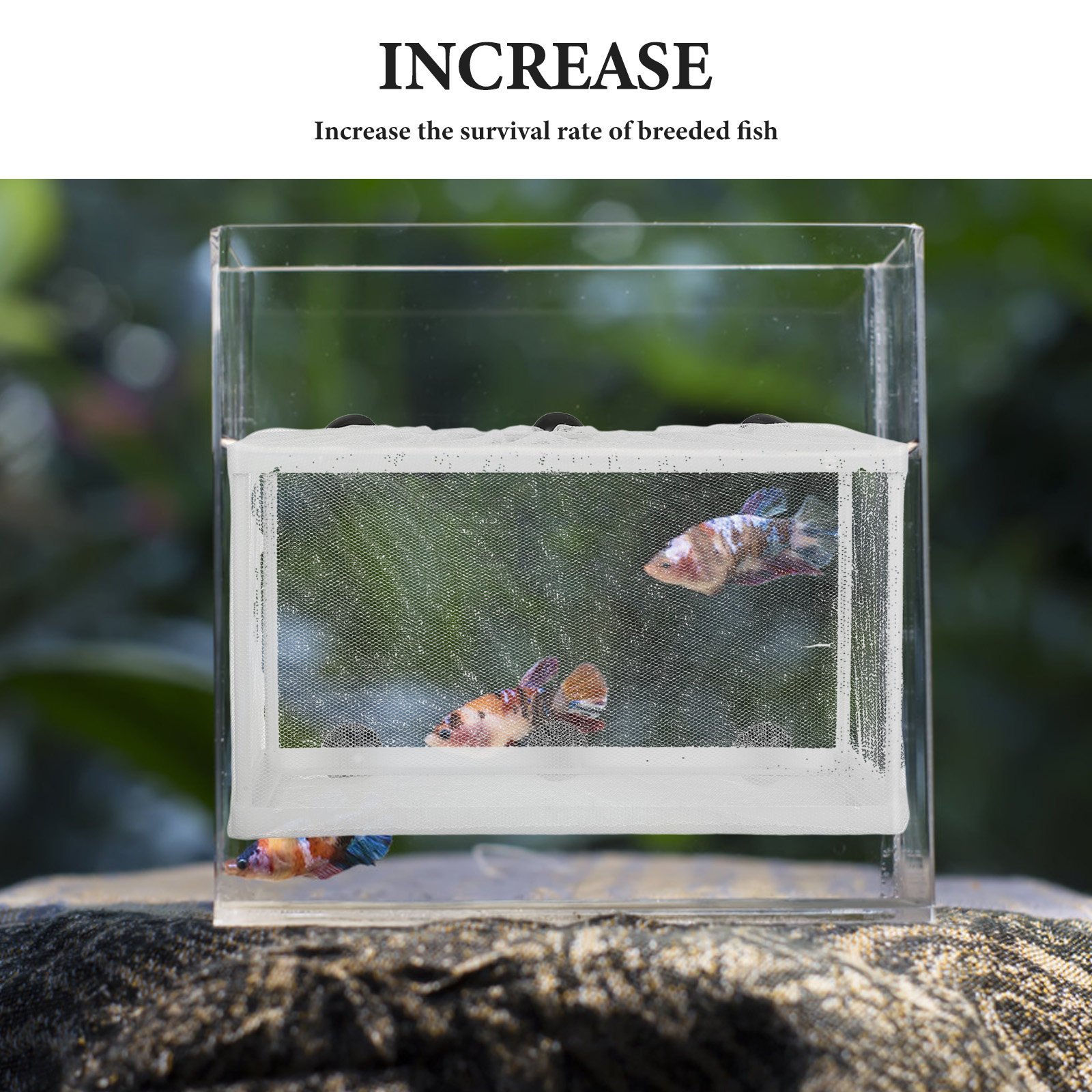 Big Size Fish Net Fry Hatchery - Aquarium Fish Net Big Size ulasan dan harga