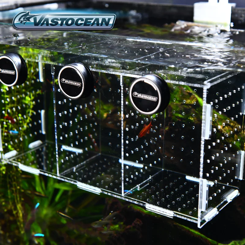 VASTOCEAN Fish Tank Magnetic C - Aquarium Fish Jar ulasan dan harga