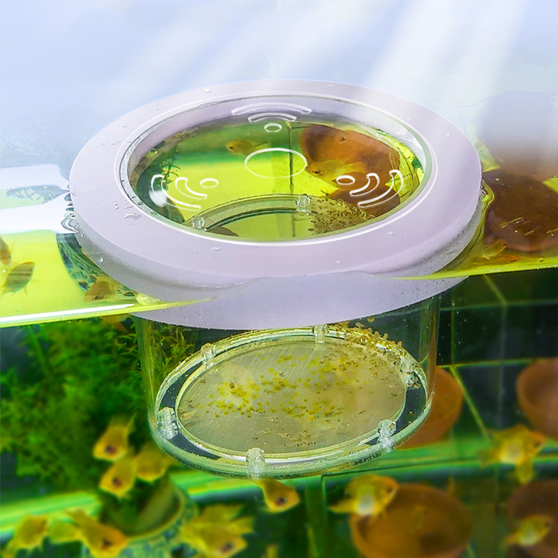 Suspended Fish Tank Breeding I - Aquarium Fish Jar ulasan dan harga