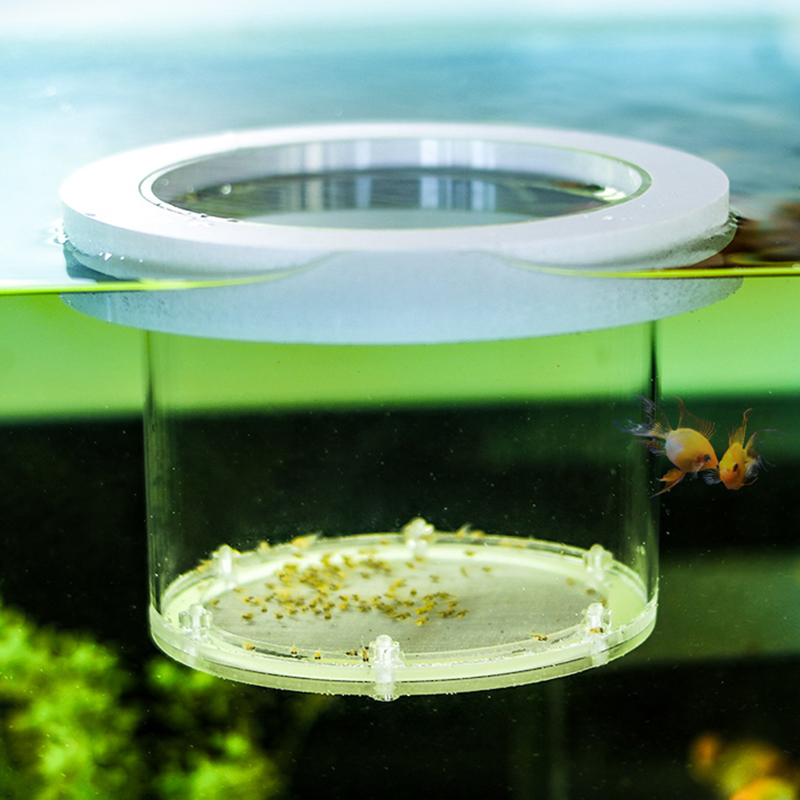 Suspended Fish Tank Breeding I - Aquarium Fish Jar ulasan dan harga