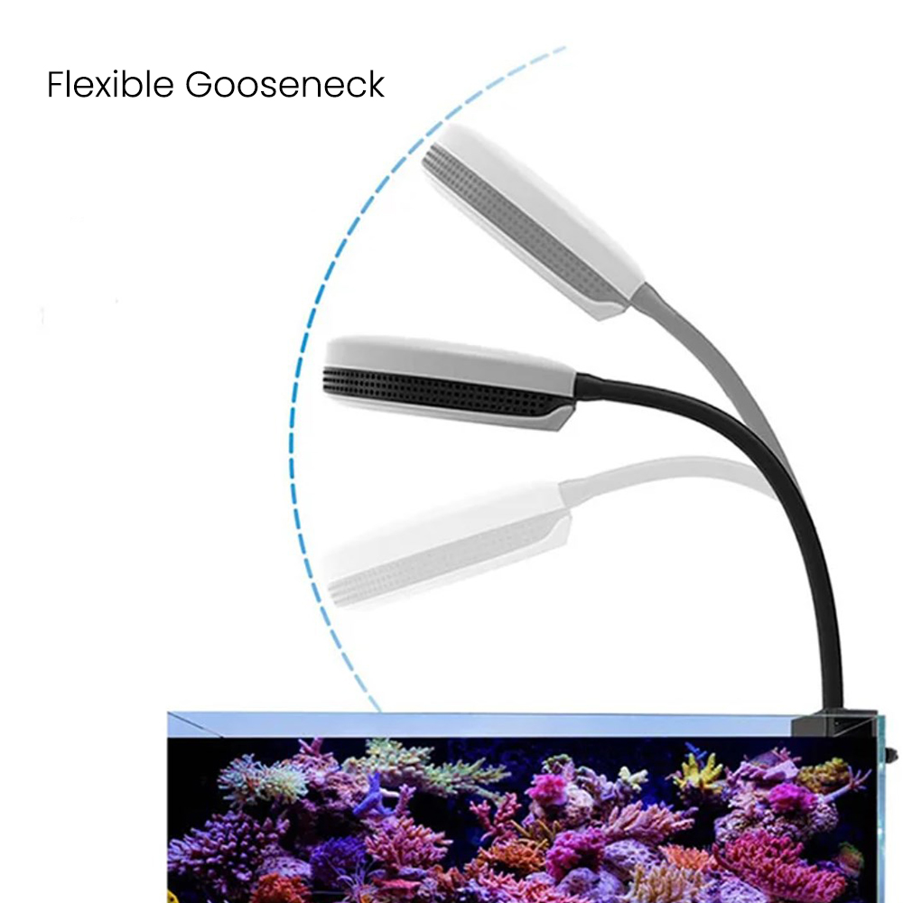 Spectra SP20 20W Aquarium LED  - Aquarium Fish Marine ulasan dan harga