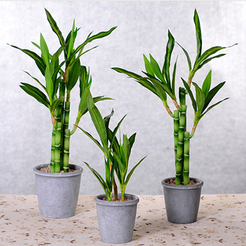 New 40cm Artificial Lucky Bamb - Aquarium Fish Land ulasan dan harga