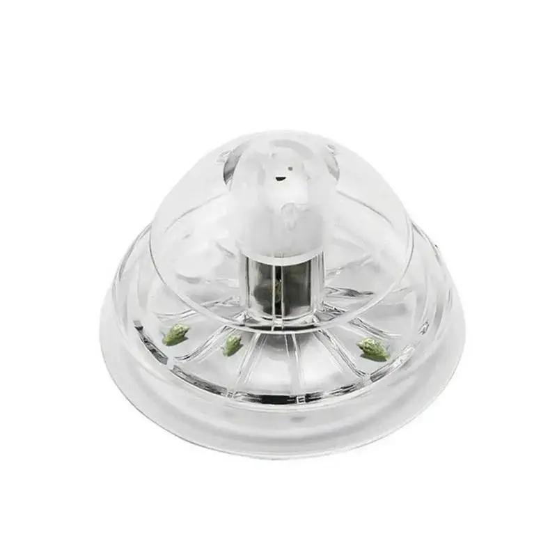 2026 New 6/8CM Clear Plastic S - Aquarium Fish Jar ulasan dan harga