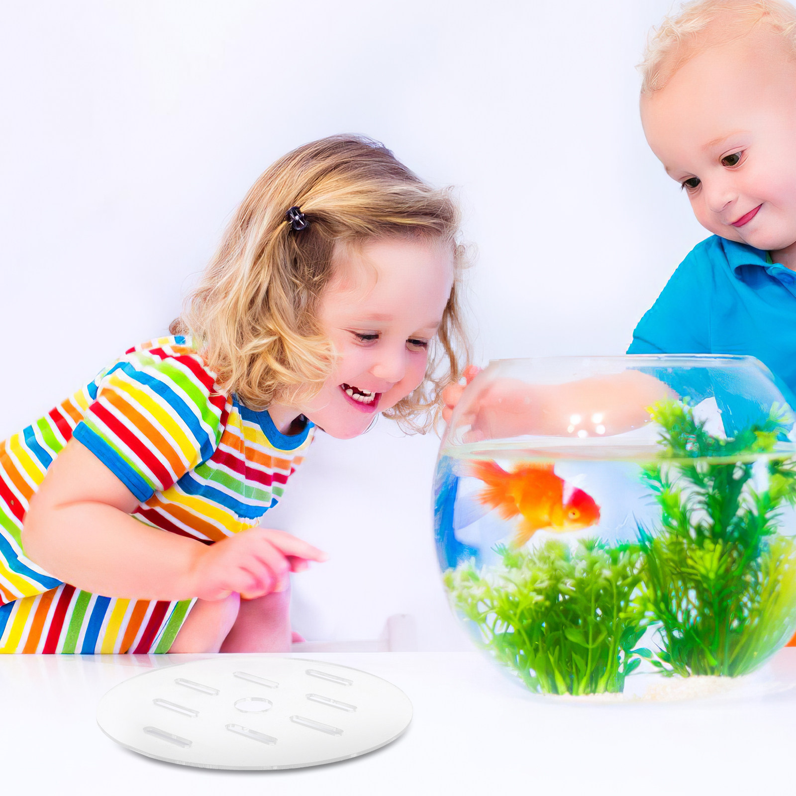 Clear Acrylic Aquarium Lid 18c - Aquarium Fish Jump Guard ulasan dan harga