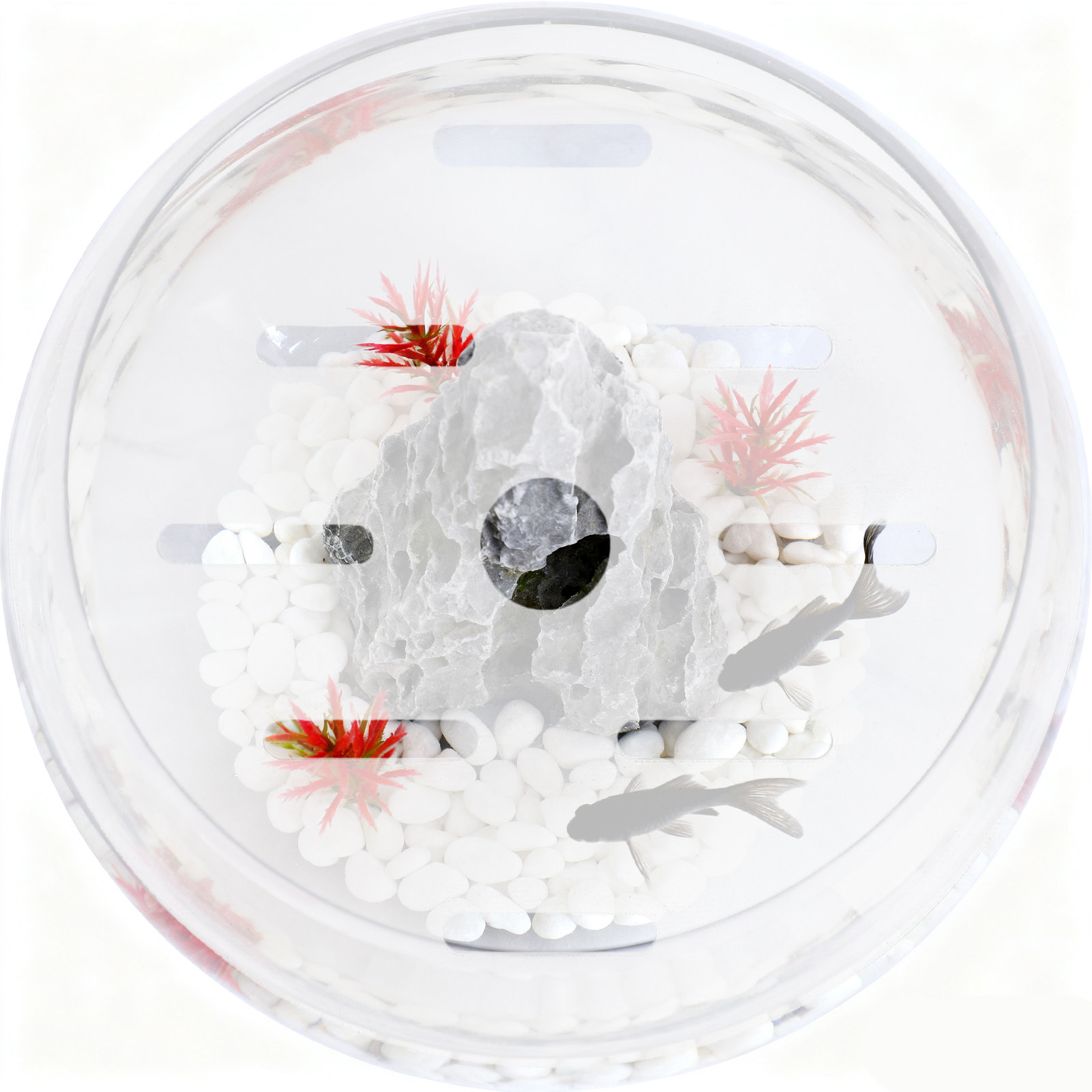 Clear Acrylic Aquarium Lid 18c - Aquarium Fish Jump Guard ulasan dan harga