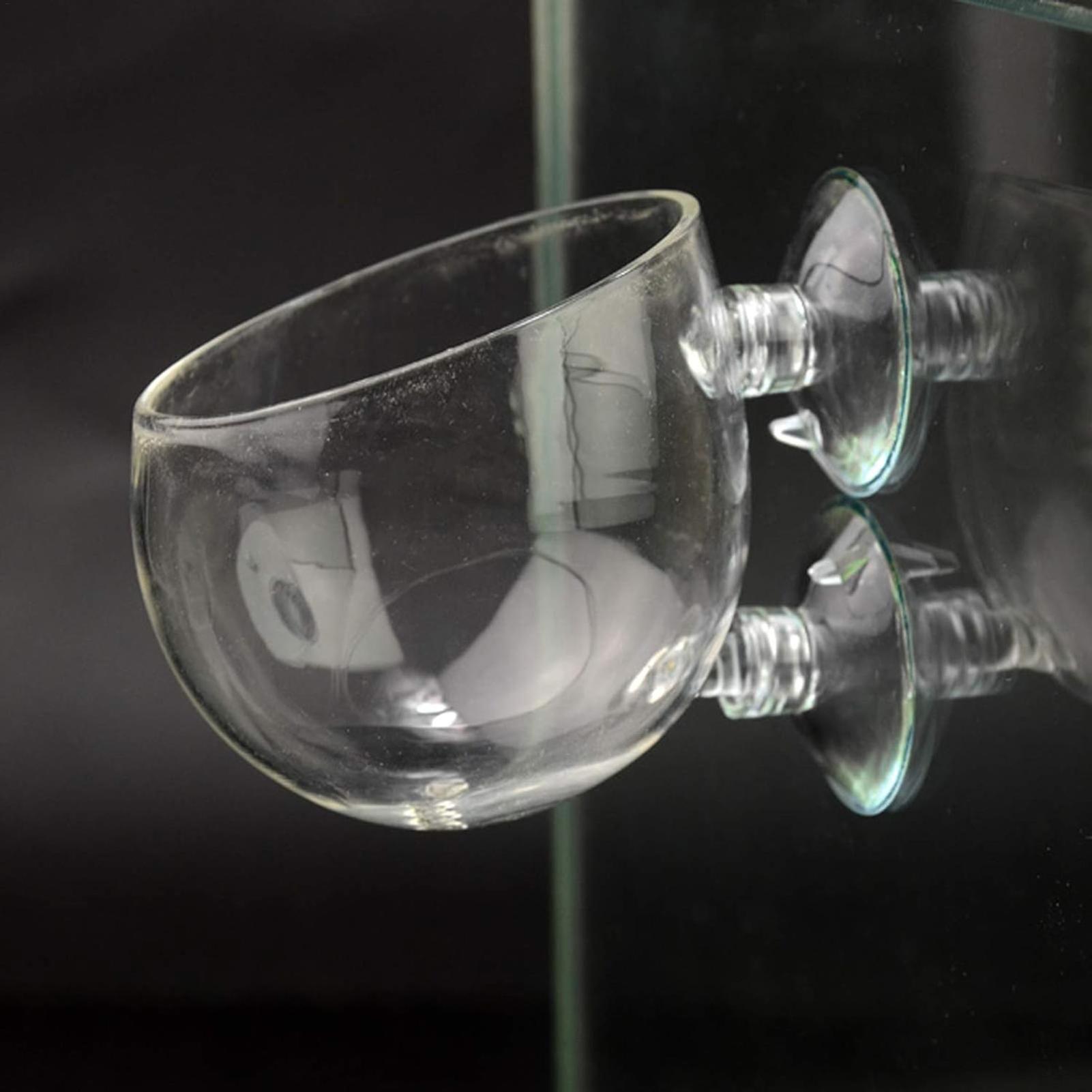 Aquarium Plant Holder Glass Aq - Aquarium Fish Enrichment ulasan dan harga