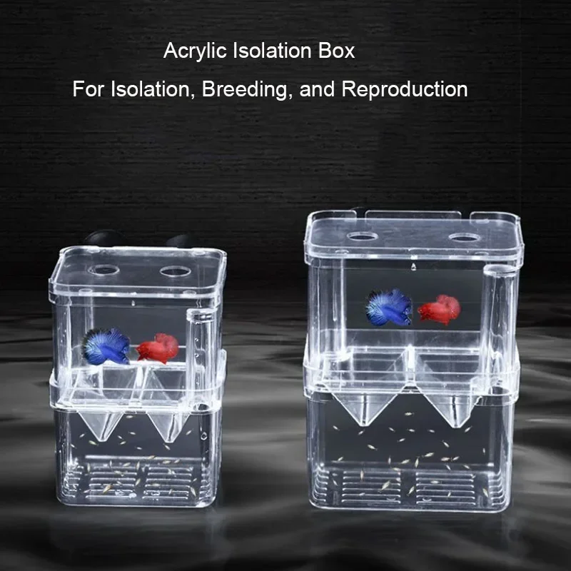 Aquarium Accessories Acrylic F - Aquarium Fish Jar ulasan dan harga