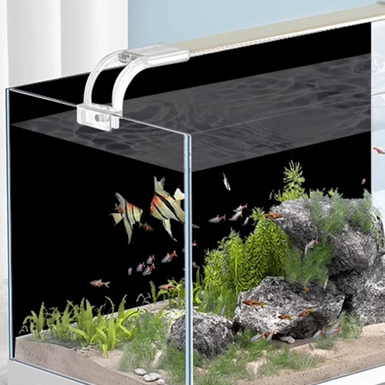 Black Aquarium Background Stat - Aquarium Fish Black ulasan dan harga