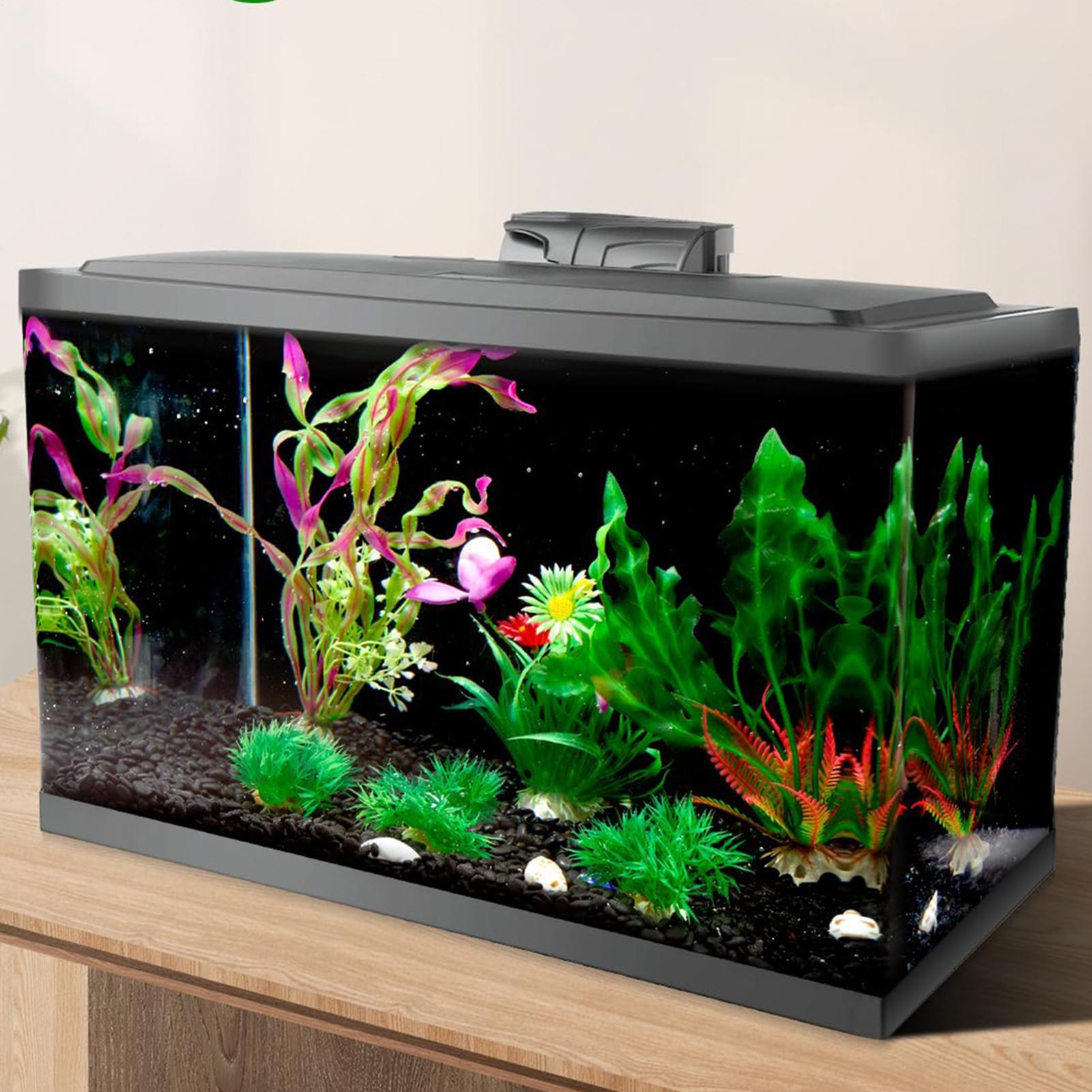 Black Aquarium Background Stat - Aquarium Fish Black ulasan dan harga