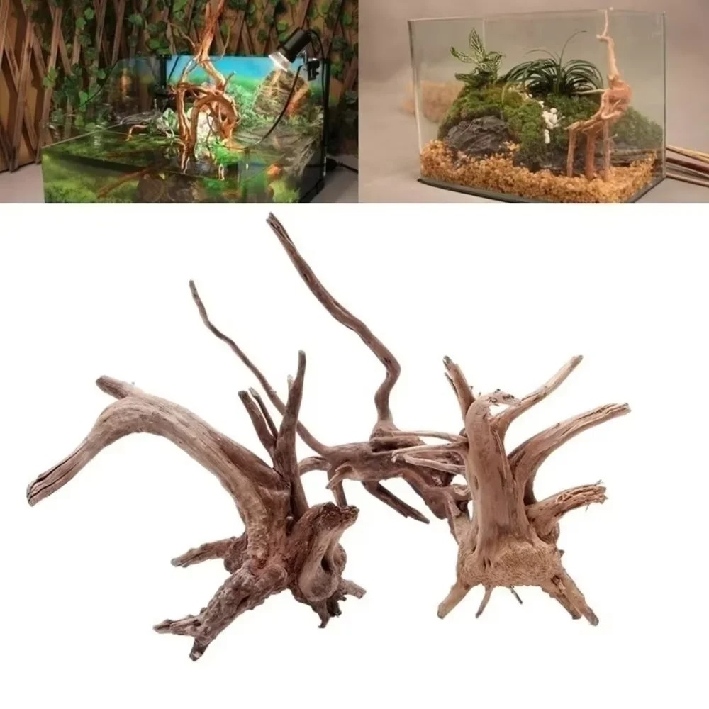 15-20CM Natural Driftwood Aqua - Aquarium Fish Land ulasan dan harga