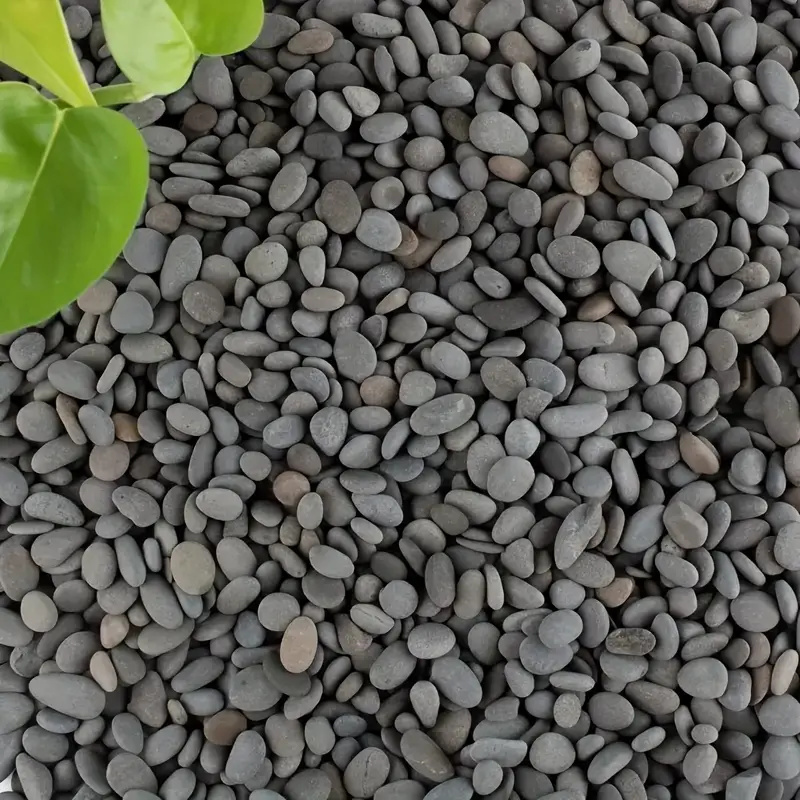 20Pcs Natural River Rocks Smoo - Aquarium Fish Land ulasan dan harga