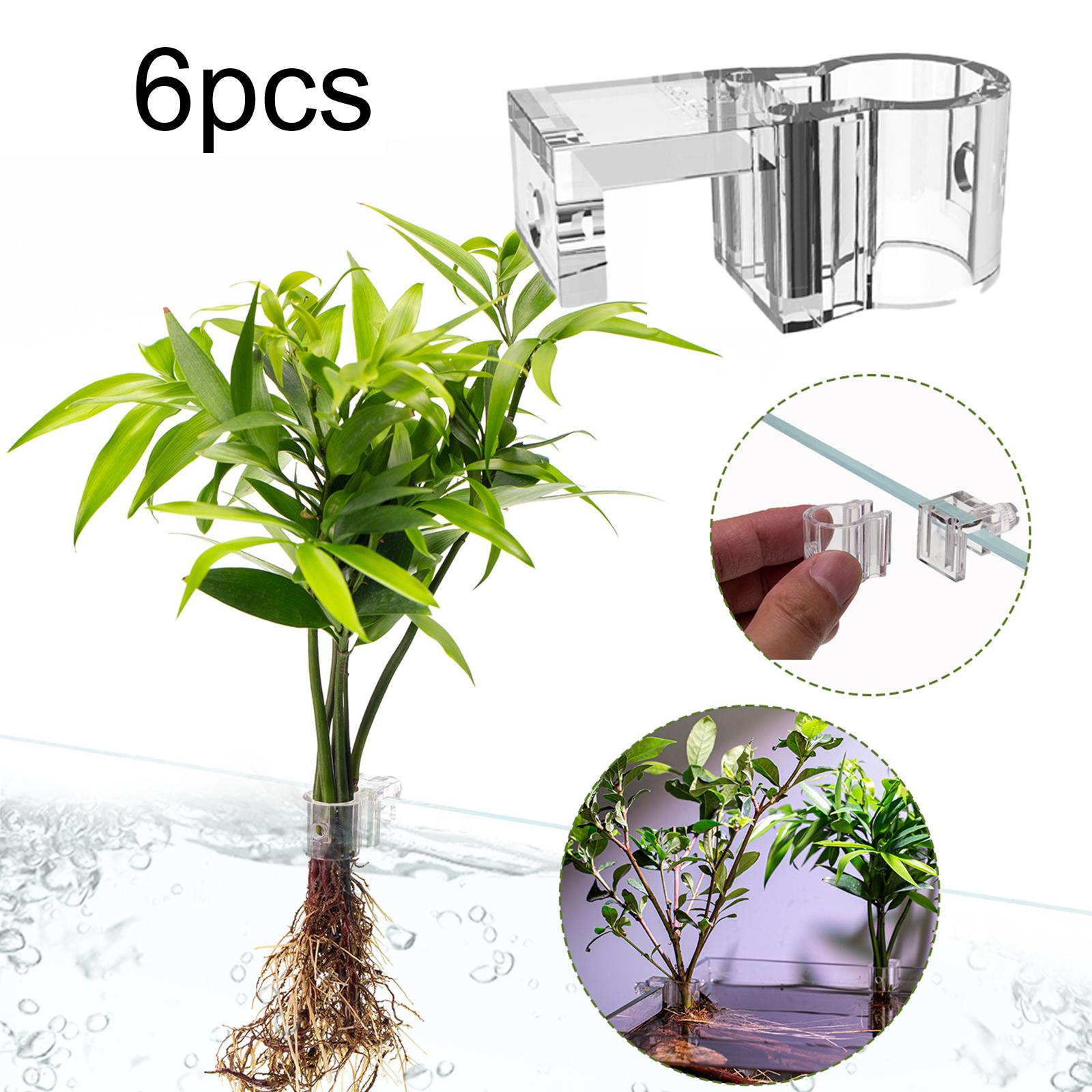 6Pcs Aquarium Plant Holder Sup - Aquarium Fish Pot ulasan dan harga