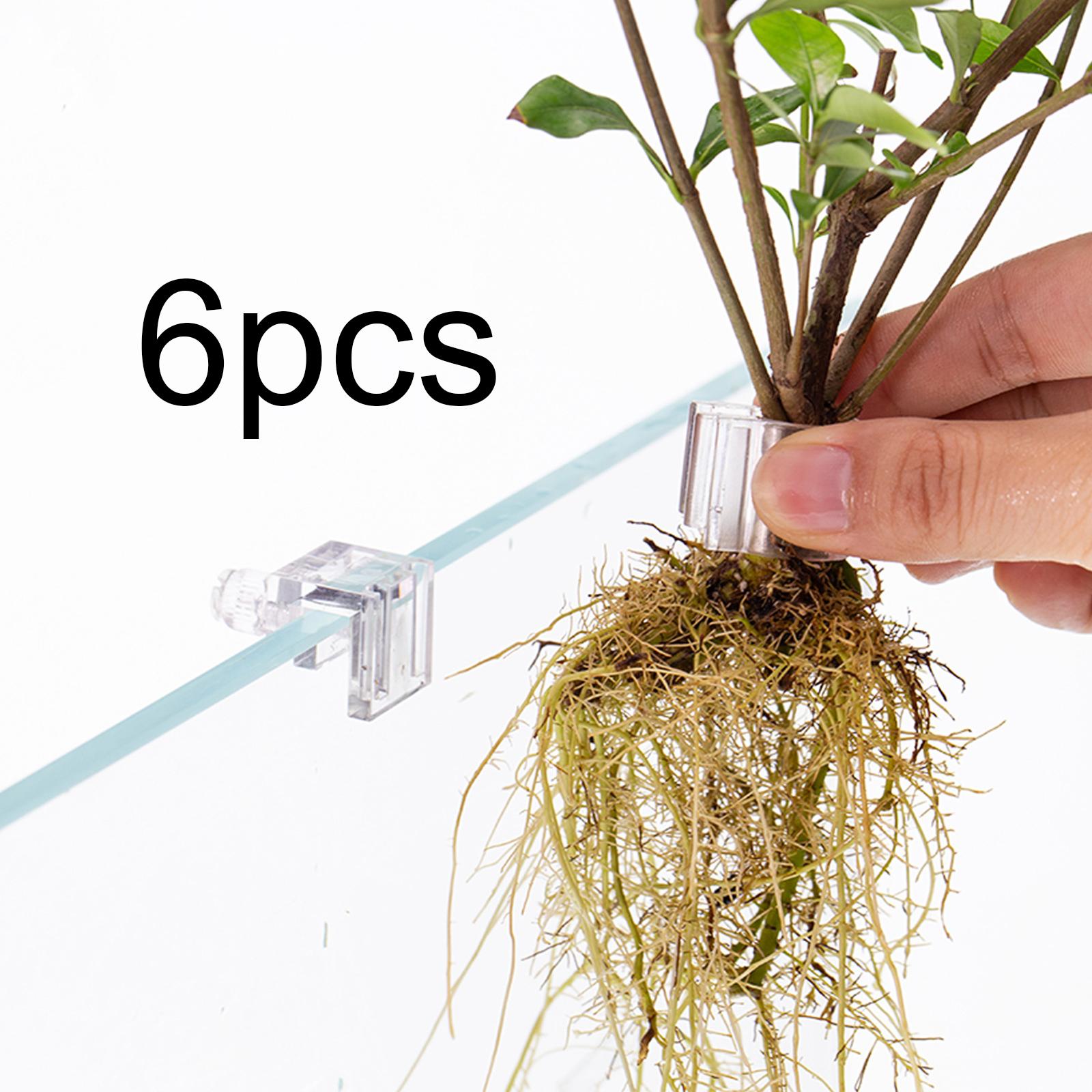 6Pcs Aquarium Plant Holder Sup - Aquarium Fish Pot ulasan dan harga