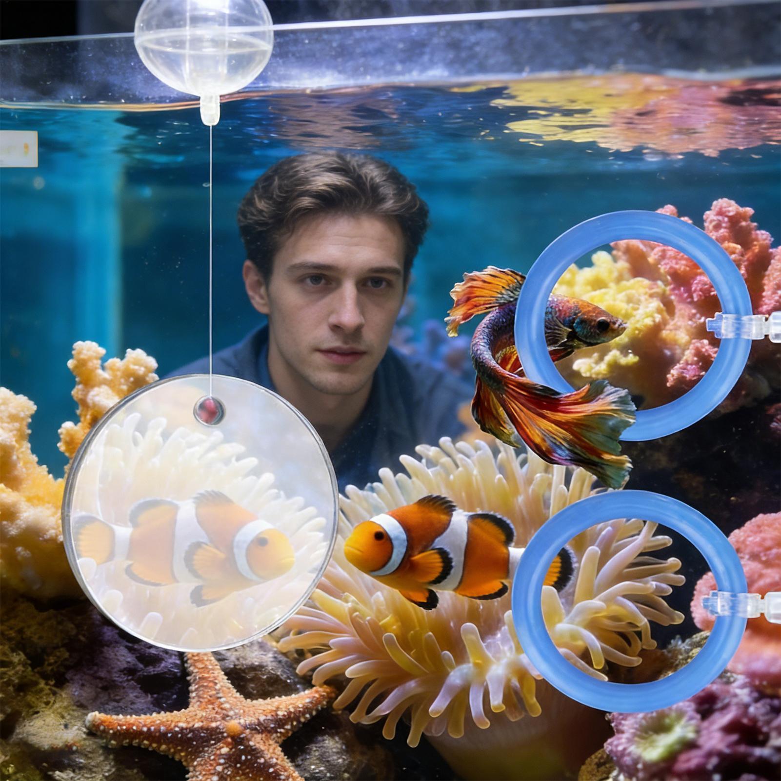 2Pcs Floating Feeding Ring Wit - Aquarium Fish Enrichment ulasan dan harga