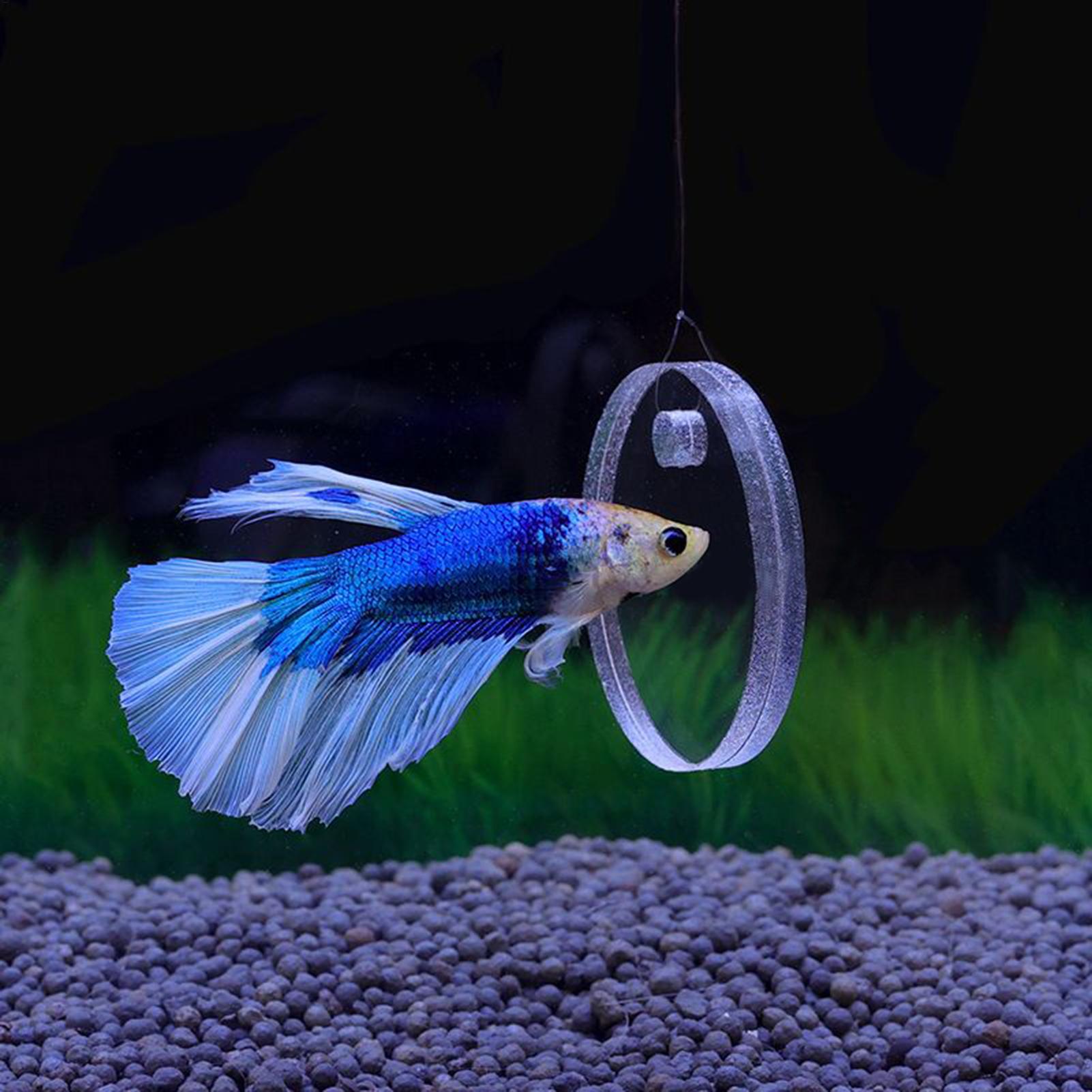 2Pcs Floating Feeding Ring Wit - Aquarium Fish Enrichment ulasan dan harga