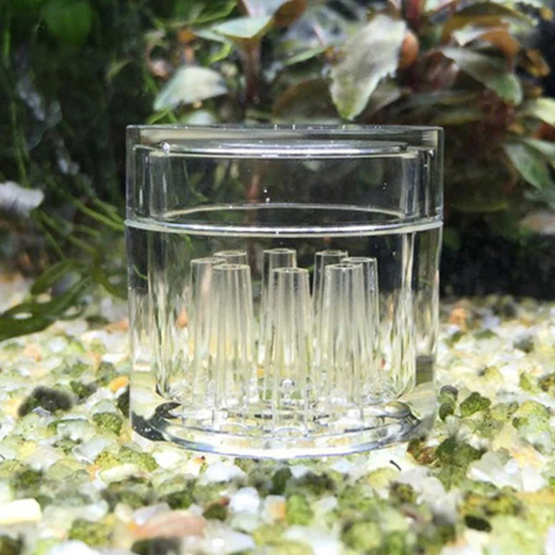 High Transparent  Aquarium Fis - Aquarium Fish Jar ulasan dan harga