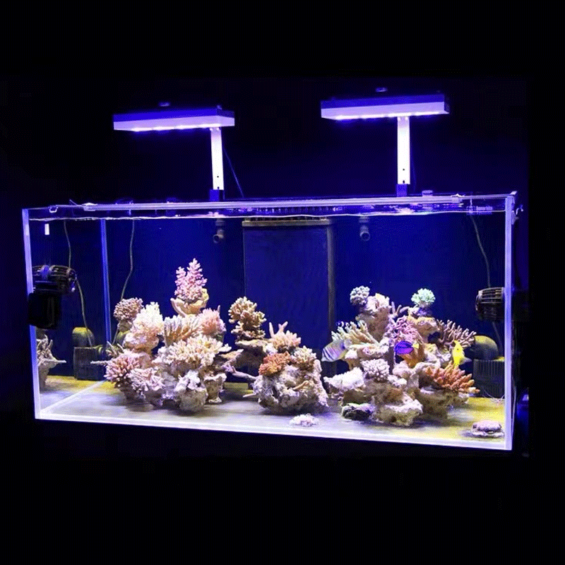 Aqua Illumination AI Hydra 32H - Aquarium Fish Marine ulasan dan harga