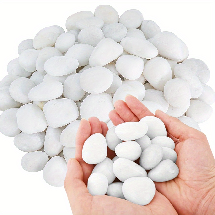 200/400g White High Polished N - Aquarium Fish Land ulasan dan harga