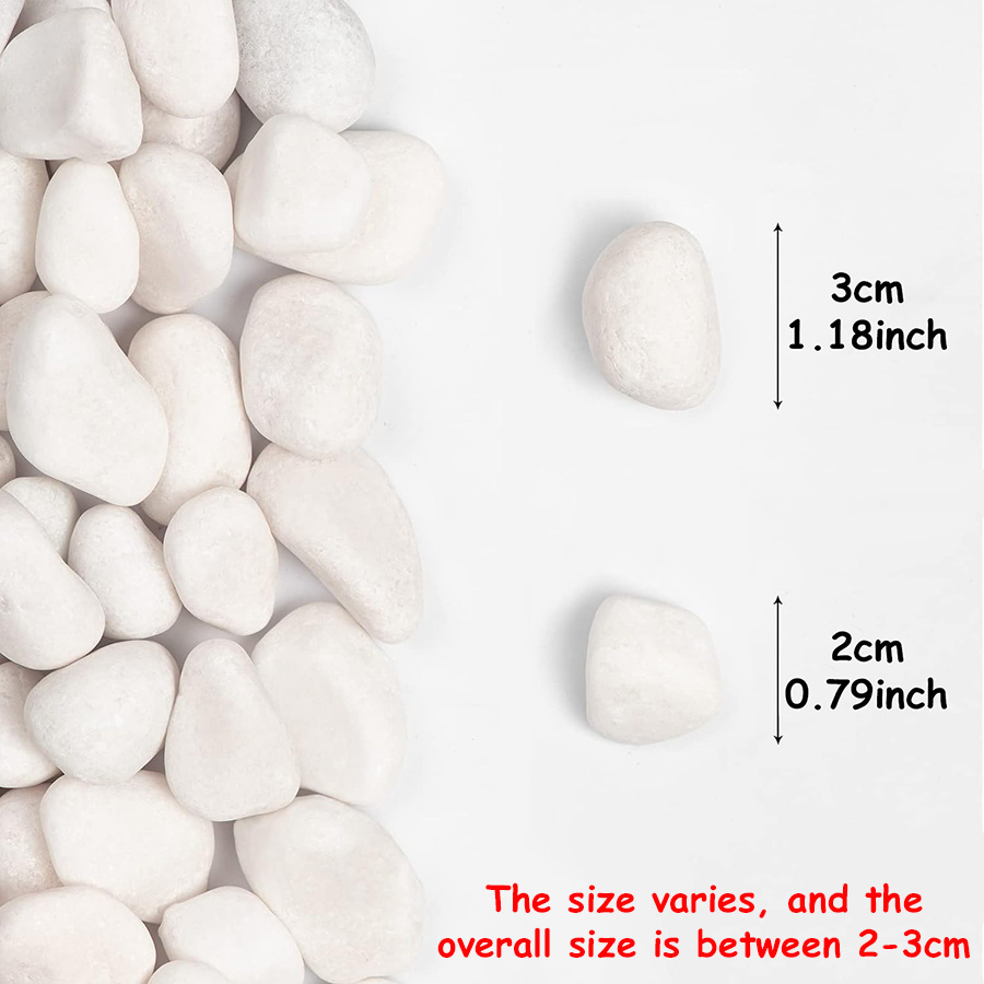 200/400g White High Polished N - Aquarium Fish Land ulasan dan harga