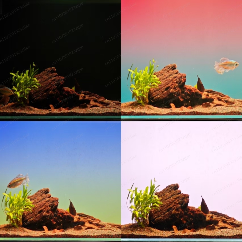 Black Acrylic Aquarium Backgro - Aquarium Fish Black ulasan dan harga