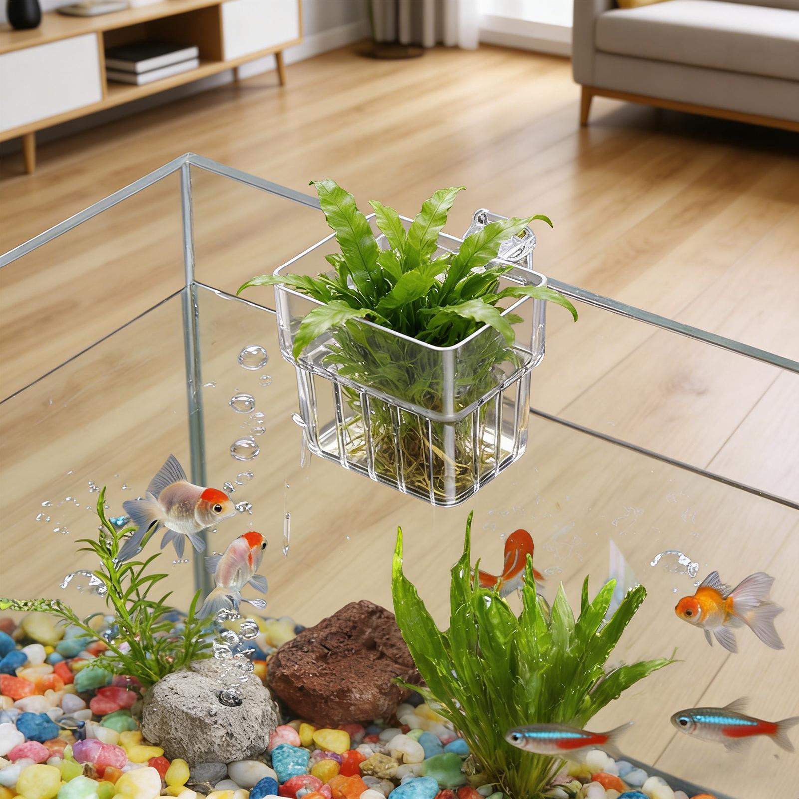 Transparent Hangable Aquarium  - Aquarium Fish Pot ulasan dan harga