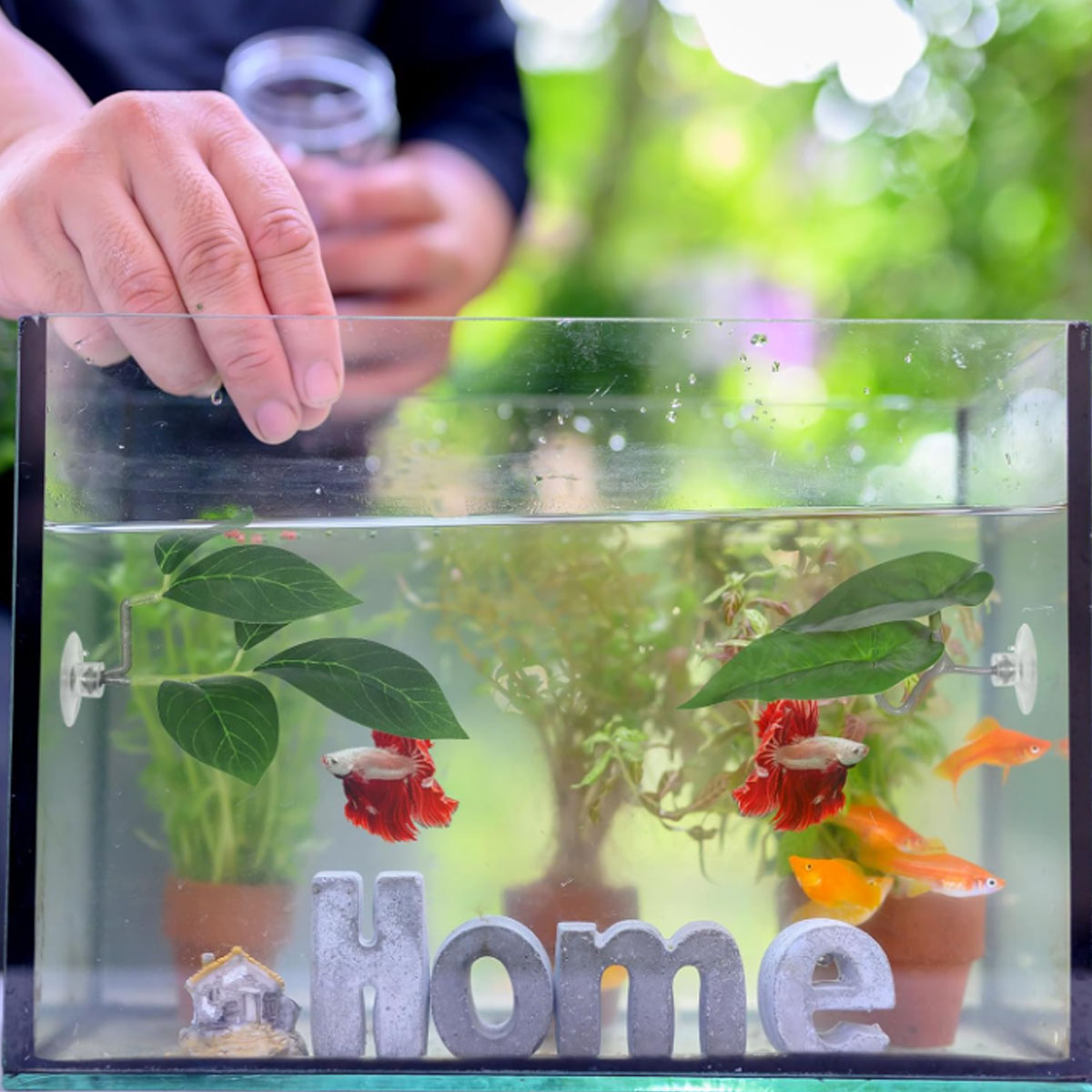 1 PC Betta Fish Hammock Soft A - Aquarium Fish Enrichment ulasan dan harga