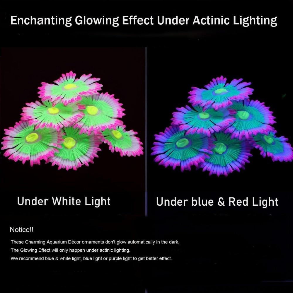 Glowing Soft Aquarium Fish Tan - Aquarium Fish Enrichment ulasan dan harga