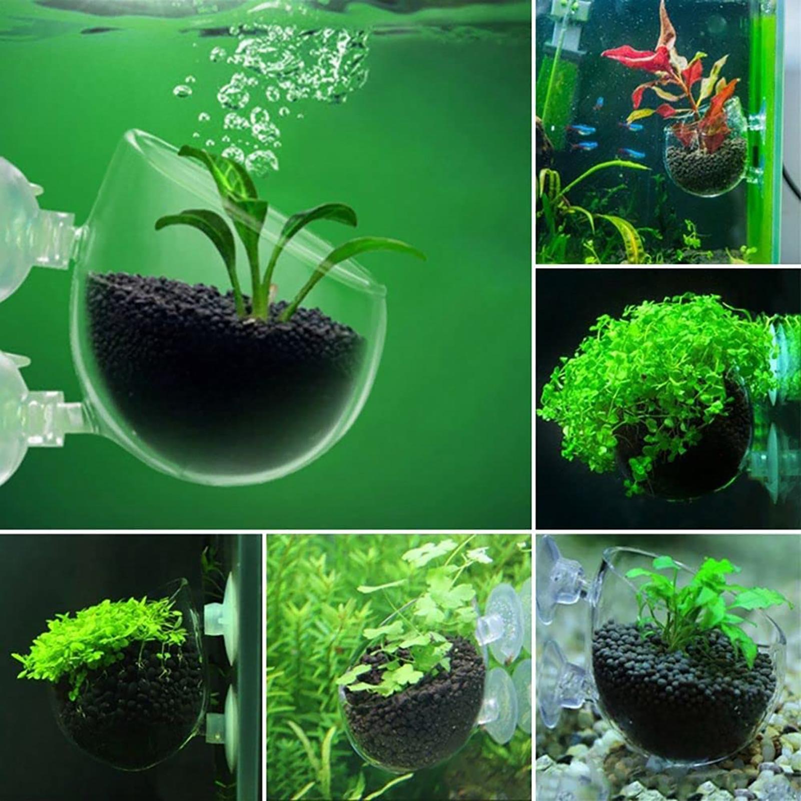 Aquatic Plant Pot Acrylic Aqua - Aquarium Fish Pot ulasan dan harga