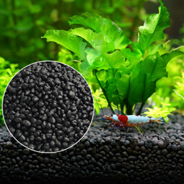 Aquarium Plant Seeds Soil Fish - Aquarium Fish Land ulasan dan harga