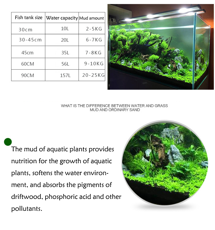 Aquarium Plant Seeds Soil Fish - Aquarium Fish Land ulasan dan harga