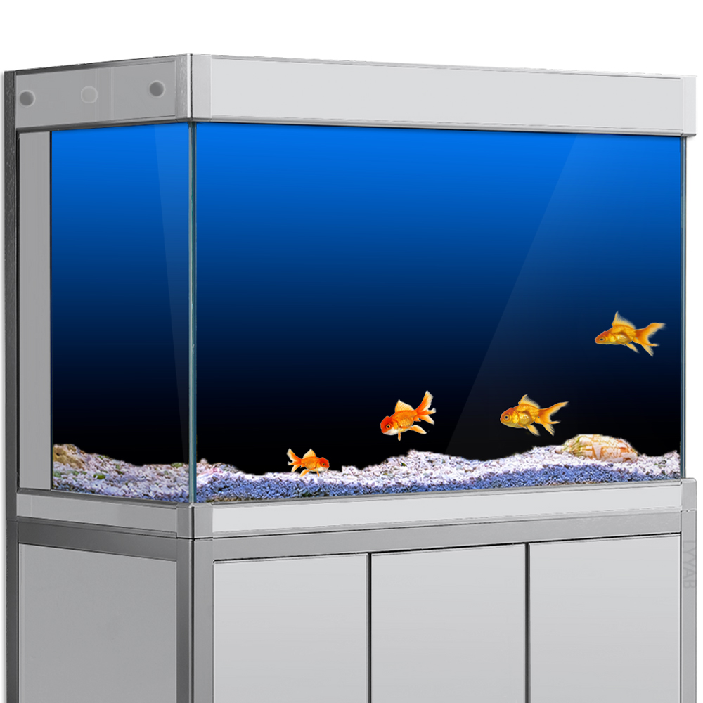 Fish Tank Background Sticker B - Aquarium Fish Black ulasan dan harga