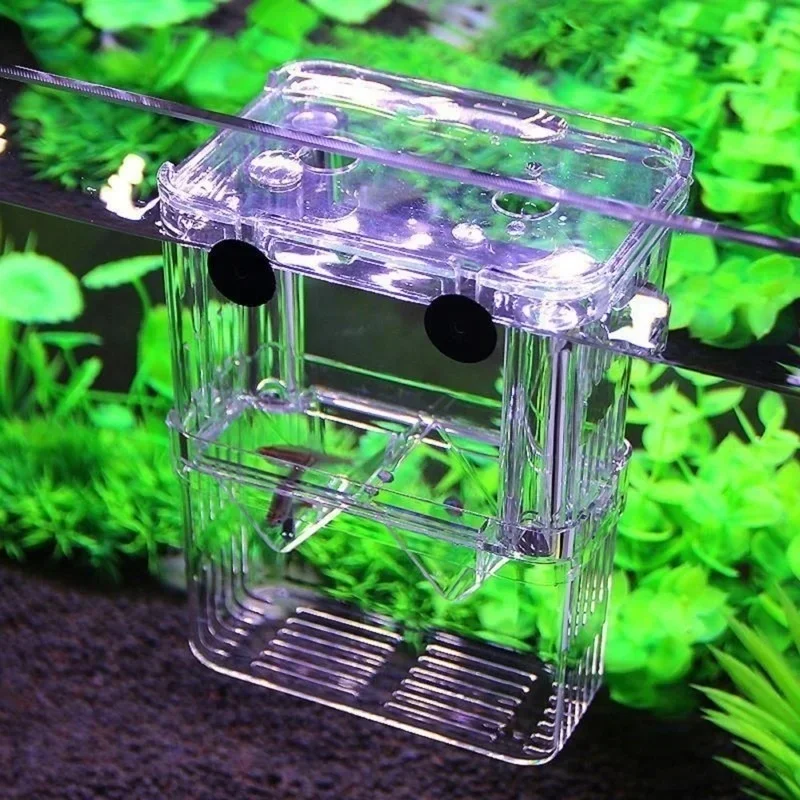 Multifunctional Fish Aquarium  - Aquarium Fish Jar ulasan dan harga