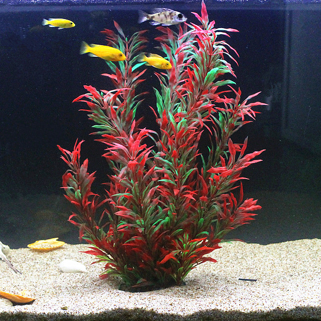 50CM Artificial Fish Tank Rare - Aquarium Fish Land ulasan dan harga