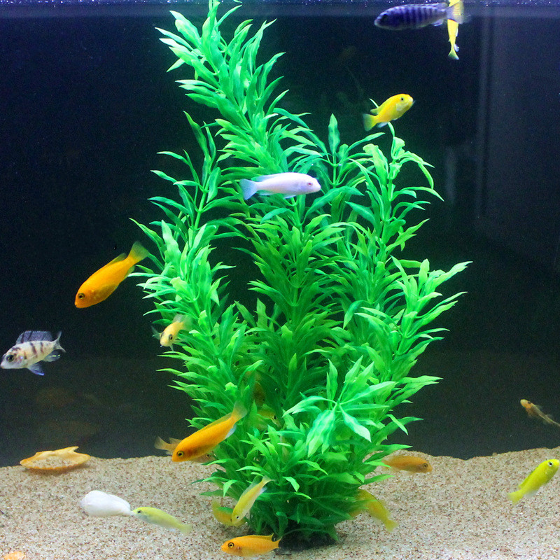 50CM Artificial Fish Tank Rare - Aquarium Fish Land ulasan dan harga