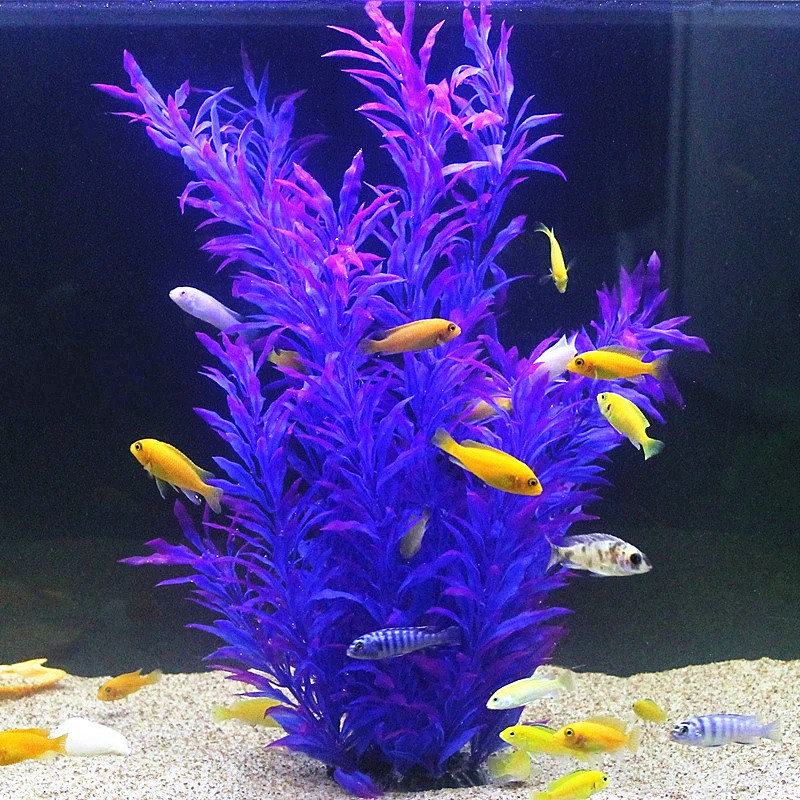 50CM Artificial Fish Tank Rare - Aquarium Fish Land ulasan dan harga