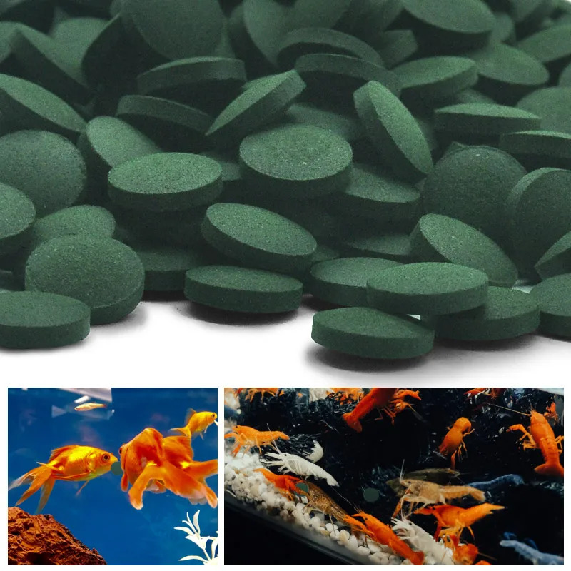 100-1500Pcs High-Purity Spirul - Aquarium Fish Enrichment ulasan dan harga