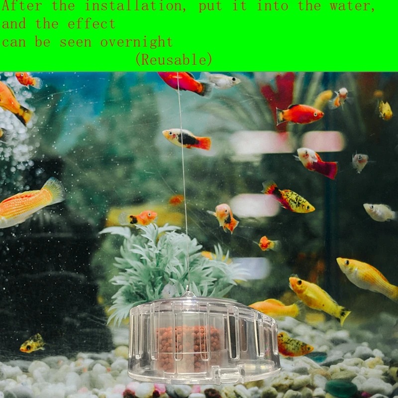 Aquarium Plant Snail Trap Catc - Aquarium Fish Jar ulasan dan harga