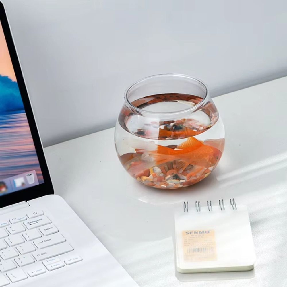 New Transparent Fish Tank Roun - Aquarium Fish Jar ulasan dan harga