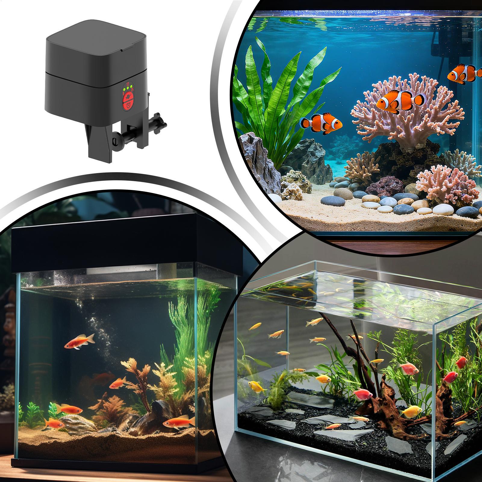 Auto Fish Feeder For Aquarium  - Aquarium Fish Jar ulasan dan harga