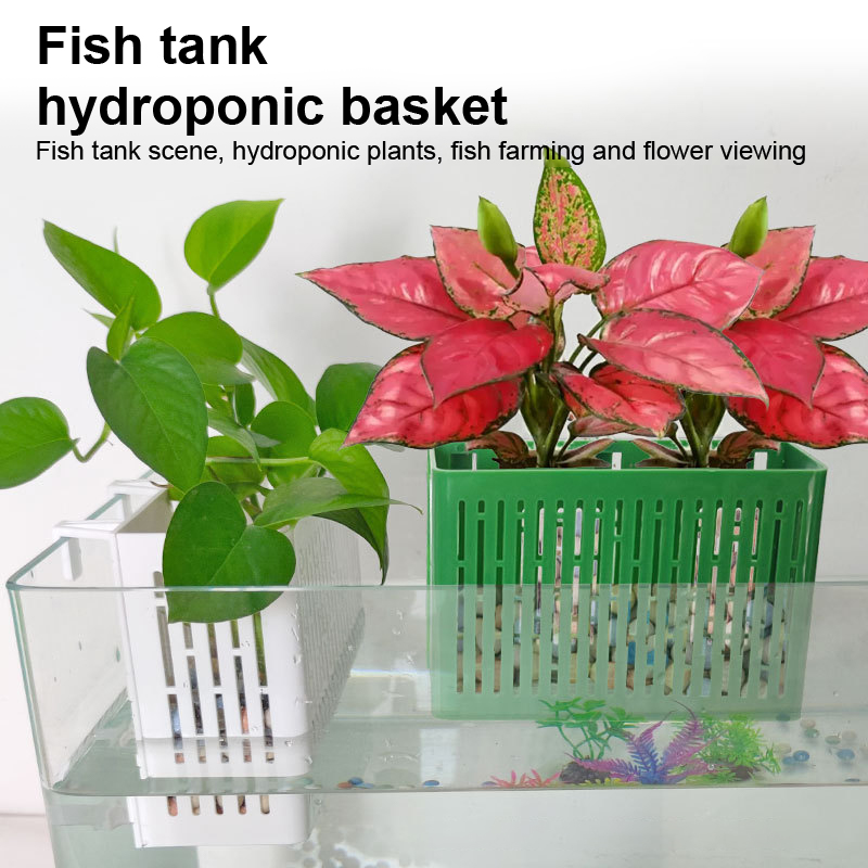 【F】Fish Tank Hanging Planter A - Aquarium Fish Land ulasan dan harga