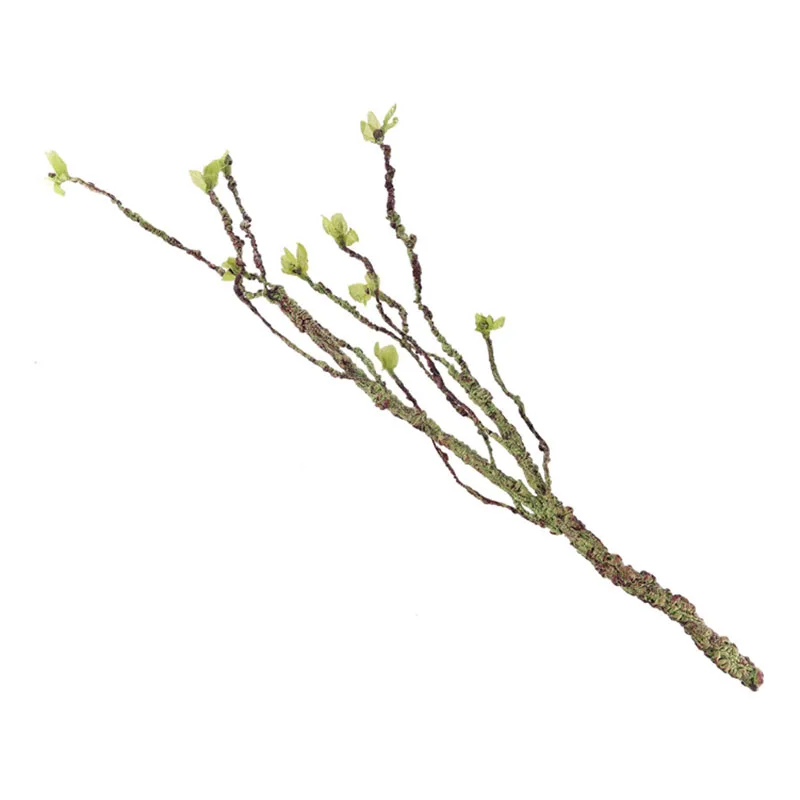 Vines Decor Climbing Branches  - Aquarium Fish Enrichment ulasan dan harga